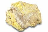 Bright Yellow Wulfenite on Dolomite - Morocco #258041-2